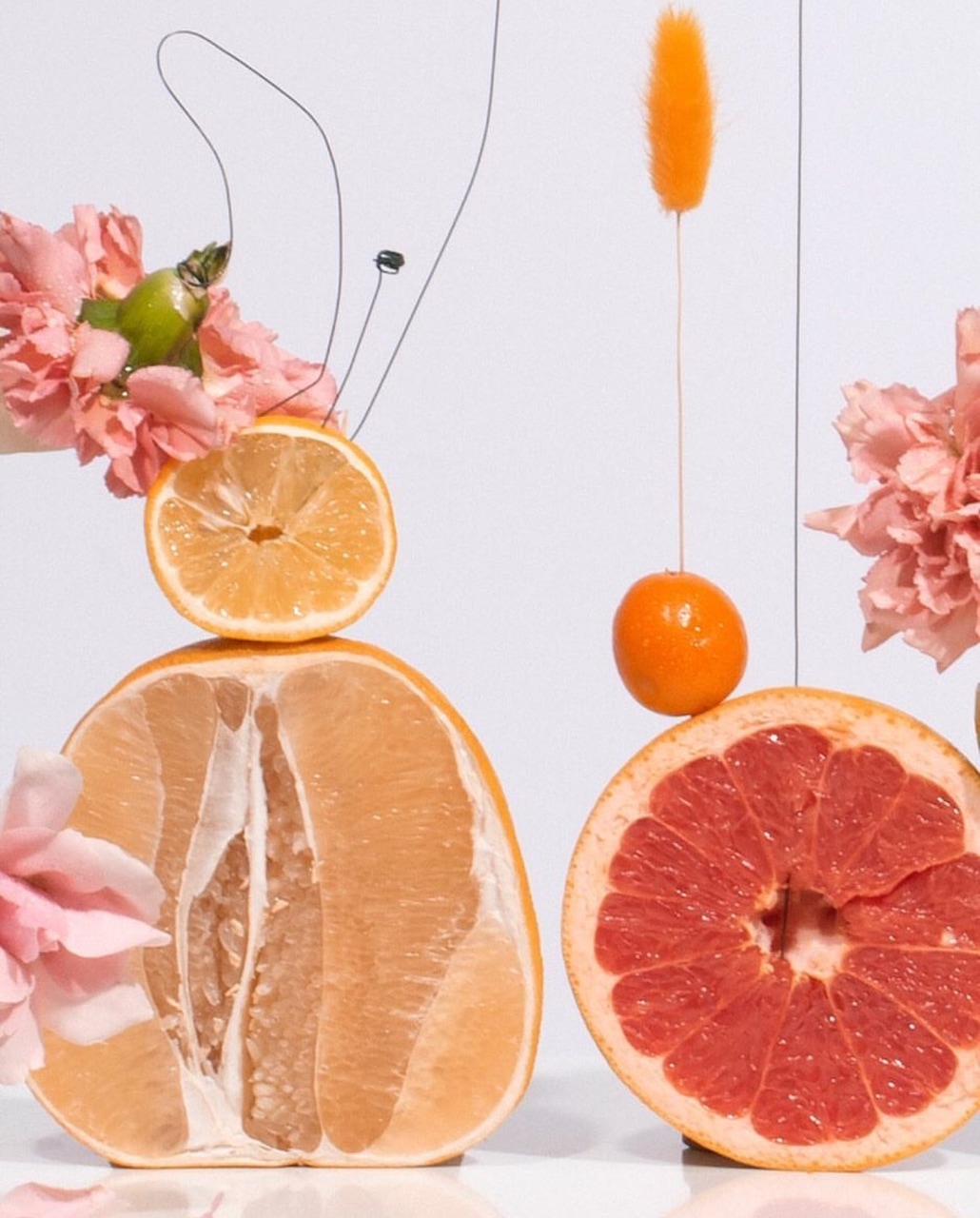 grapefruit-minimalist-fruit-Favim.com-7099240